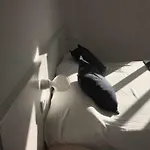 Apartment Od'a *